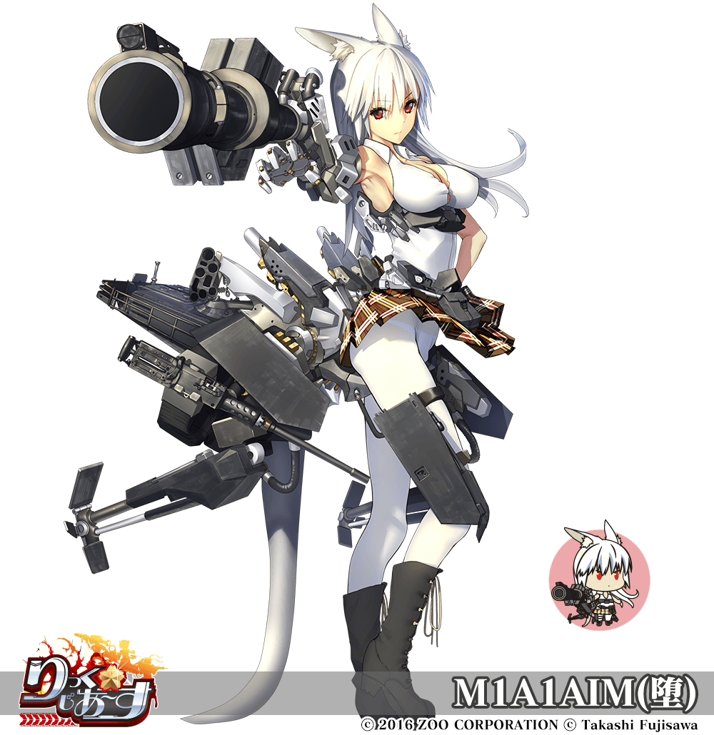 M1A1AIM(堕)